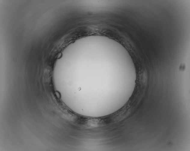 X0000111610757200907311139