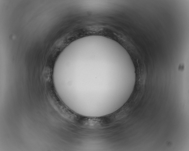 X0000111610758200907311139