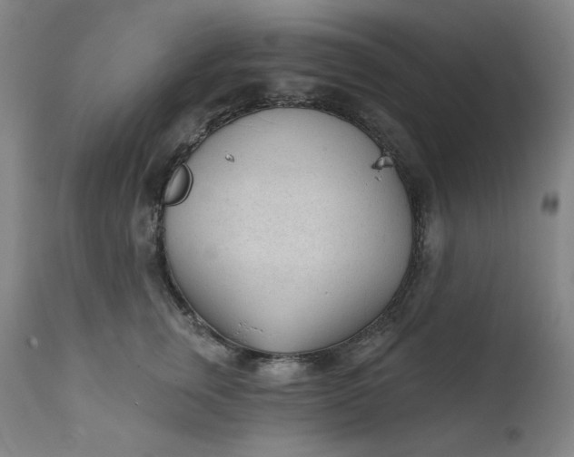 X0000111610759200907311139