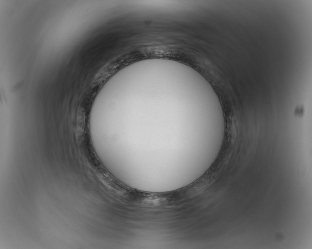 X0000111610760200907311139