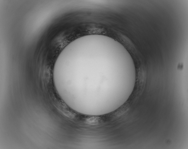 X0000111610761200907311139