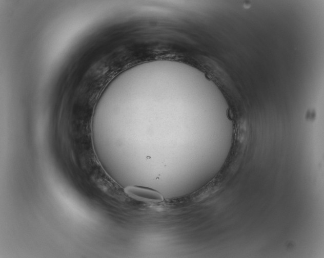 X0000111610763200907311139