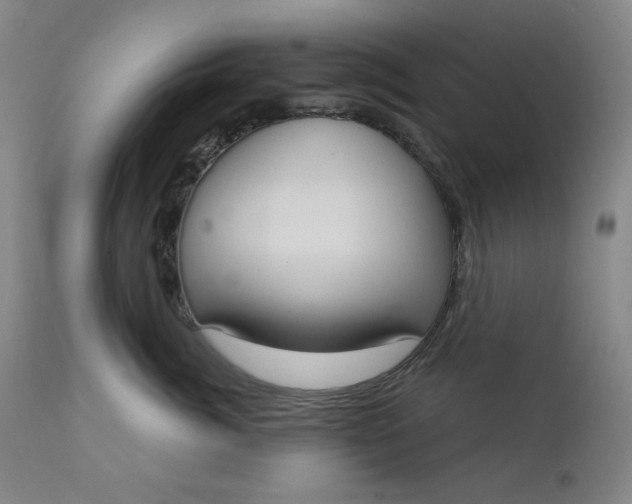 X0000111610764200907311139