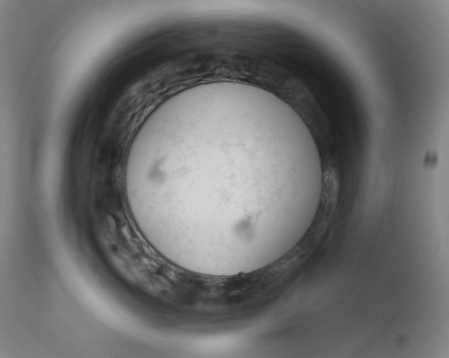 X0000111610765200907311139