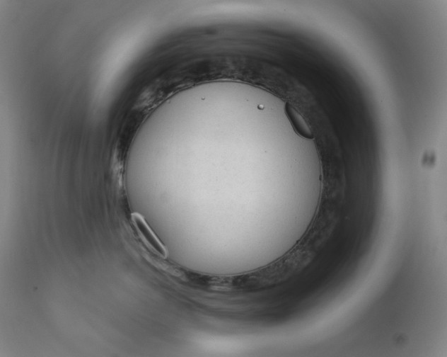 X0000111610766200907311139