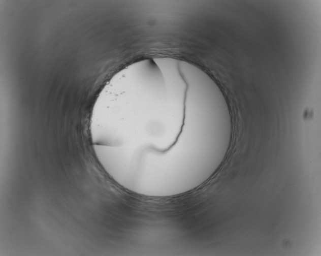 X0000111610768200907311139