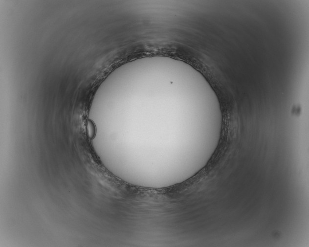 X0000111610770200907311138