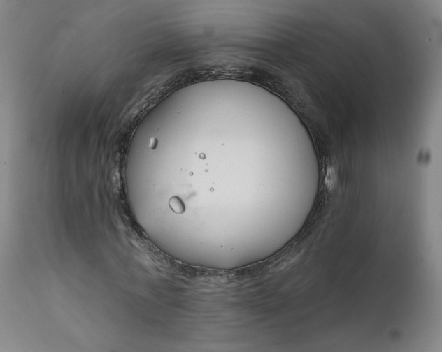 X0000111610771200907311138