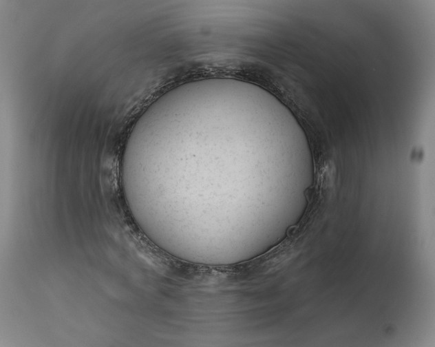 X0000111610772200907311138