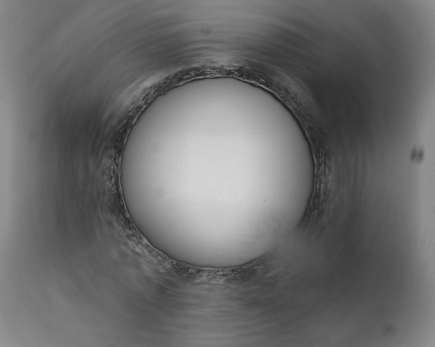 X0000111610773200907311138