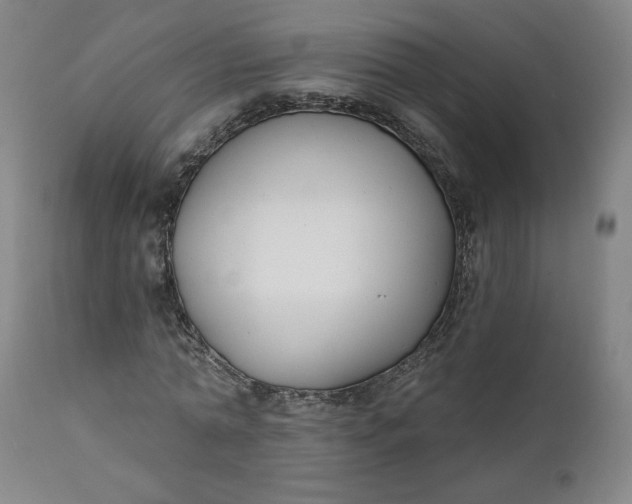 X0000111610774200907311138