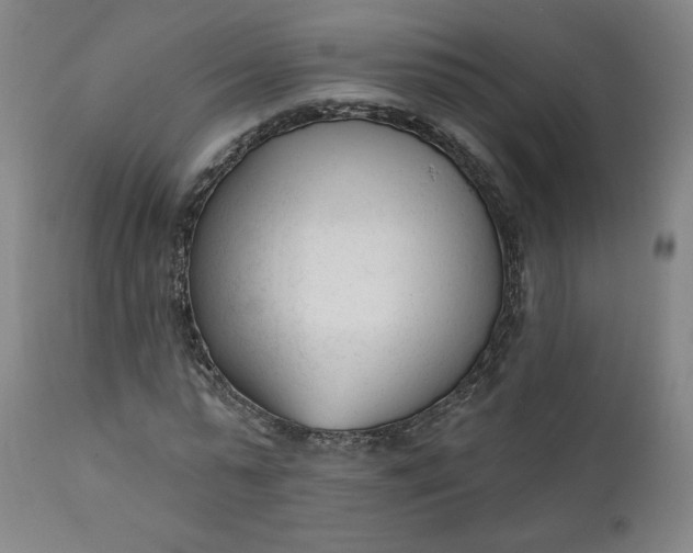 X0000111610775200907311138