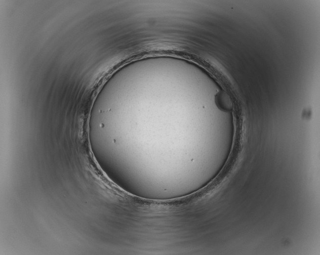 X0000111610777200907311138