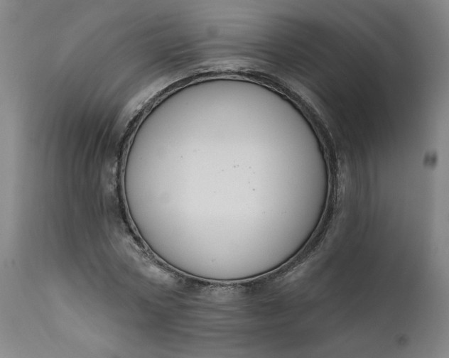 X0000111610778200907311138