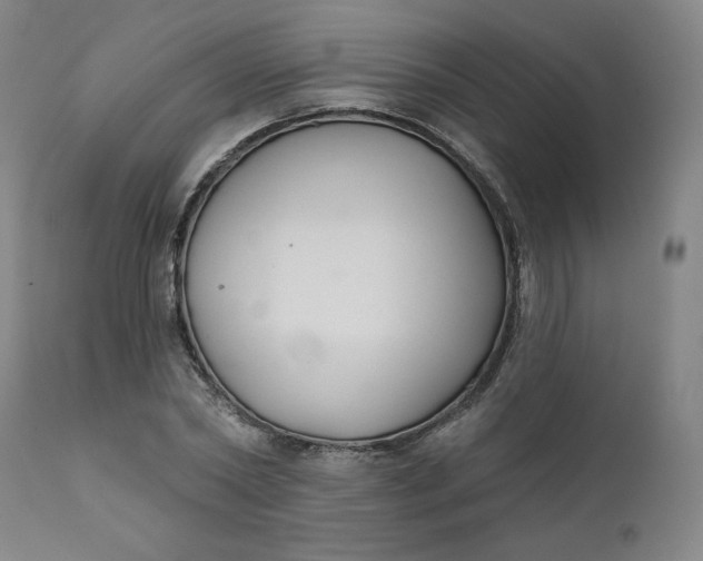 X0000111610782200907311138