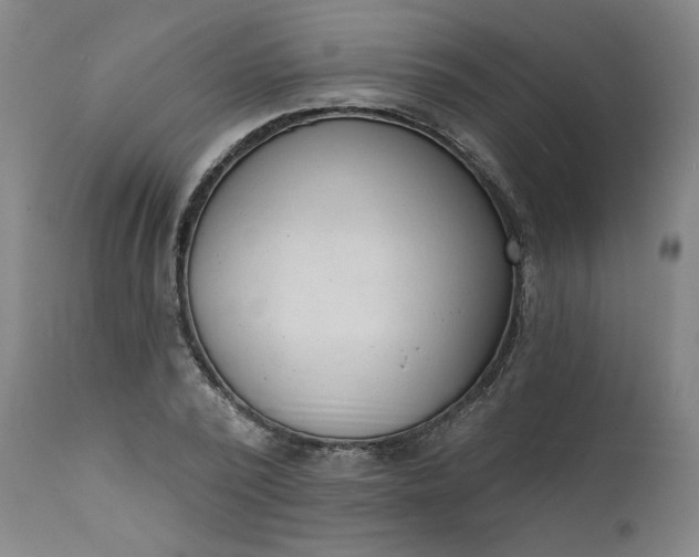 X0000111610784200907311138