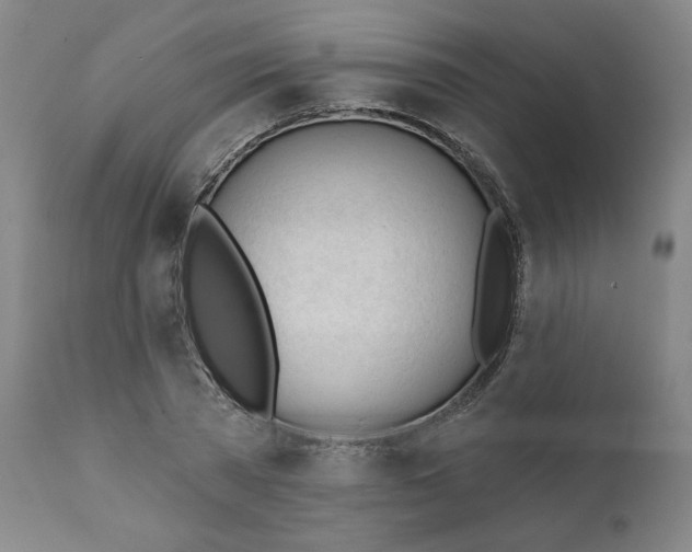 X0000111610785200907311138