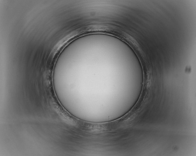 X0000111610786200907311138