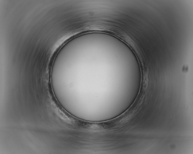 X0000111610787200907311138