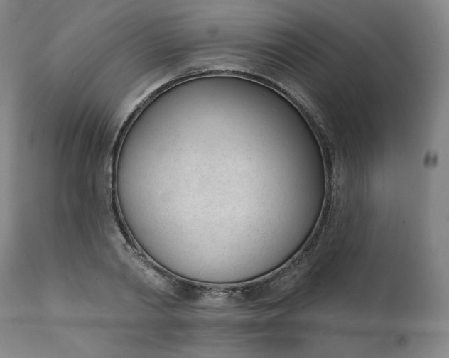 X0000111610790200907311138