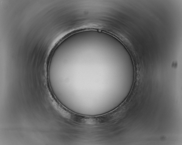 X0000111610792200907311138