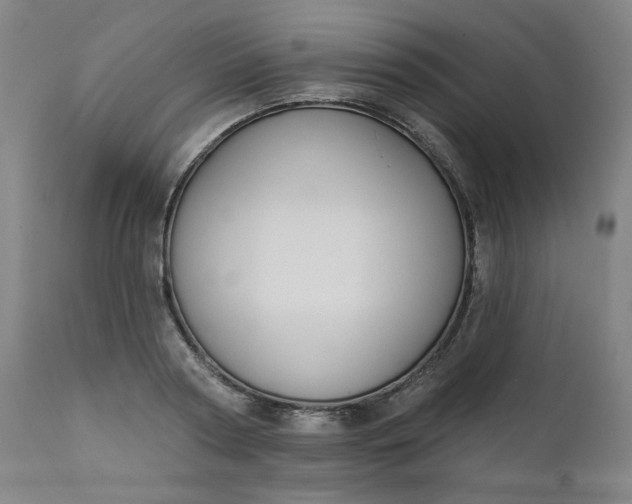 X0000111610794200907311138