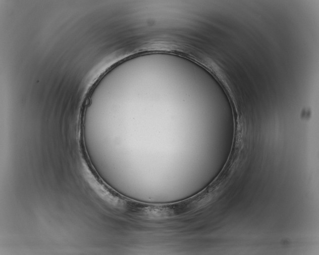 X0000111610795200907311138