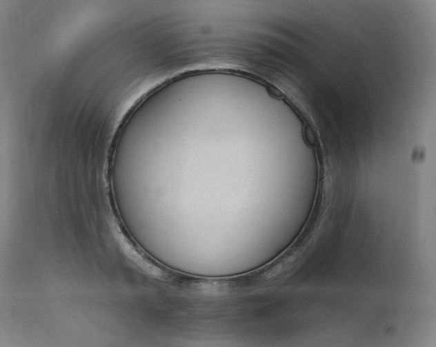 X0000111610797200907311138