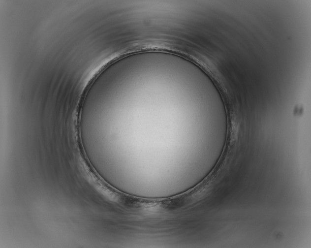 X0000111610798200907311138