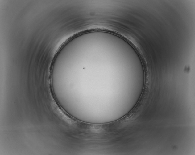 X0000111610799200907311138