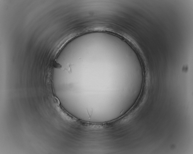 X0000111610801200907311138