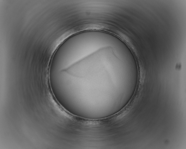 X0000111610802200907311138