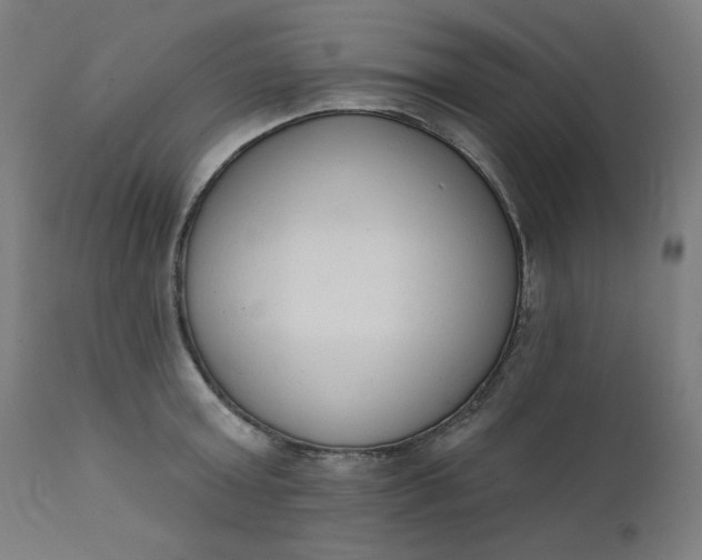 X0000111610803200907311138