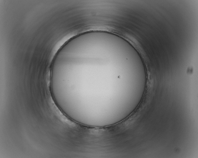 X0000111610804200907311138