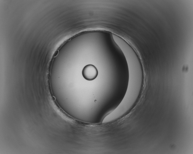 X0000111610805200907311138