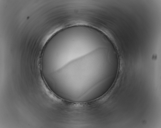 X0000111610806200907311138