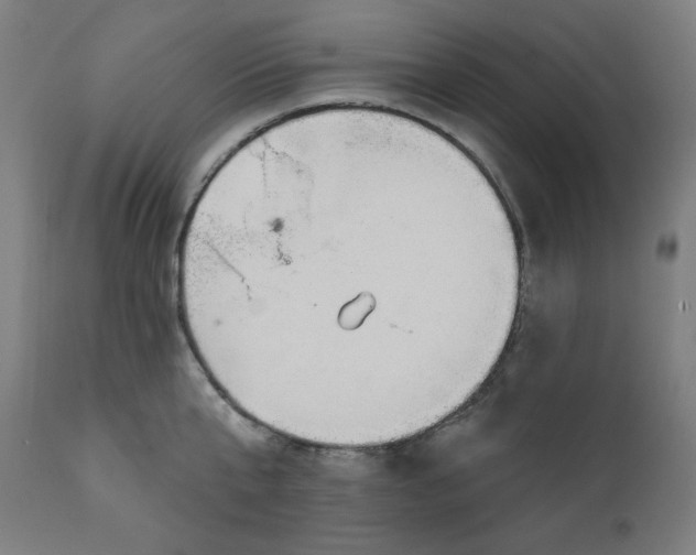 X0000111610807200907311138