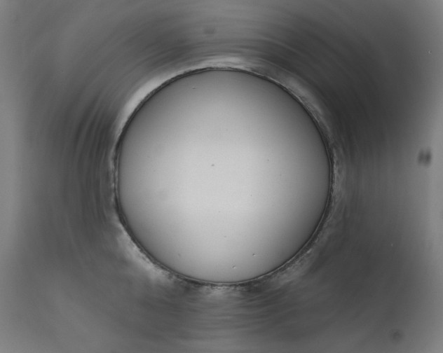 X0000111610808200907311138