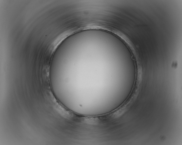 X0000111610809200907311138