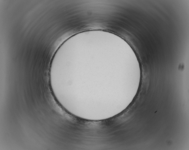 X0000111610810200907311138