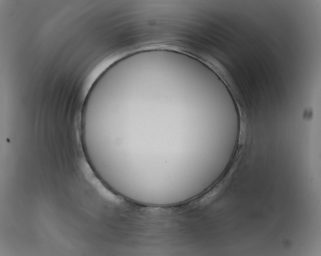 X0000111610812200907311138