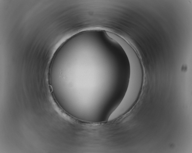 X0000111610813200907311138