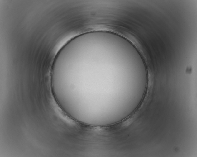 X0000111610814200907311138