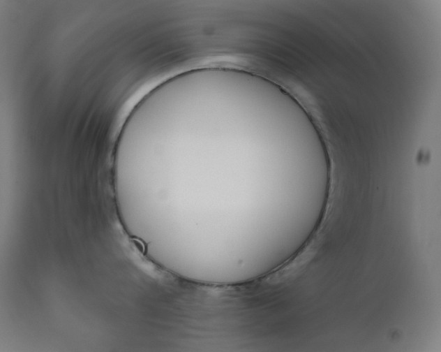 X0000111610816200907311138