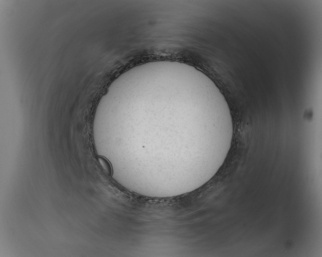 X0000111610817200907311137