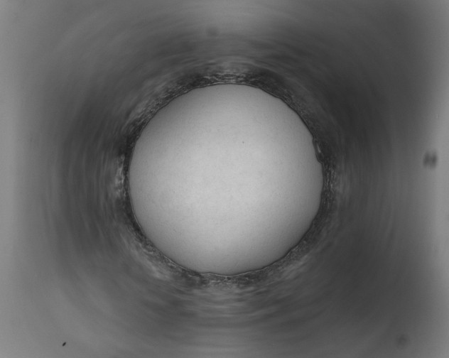 X0000111610818200907311137