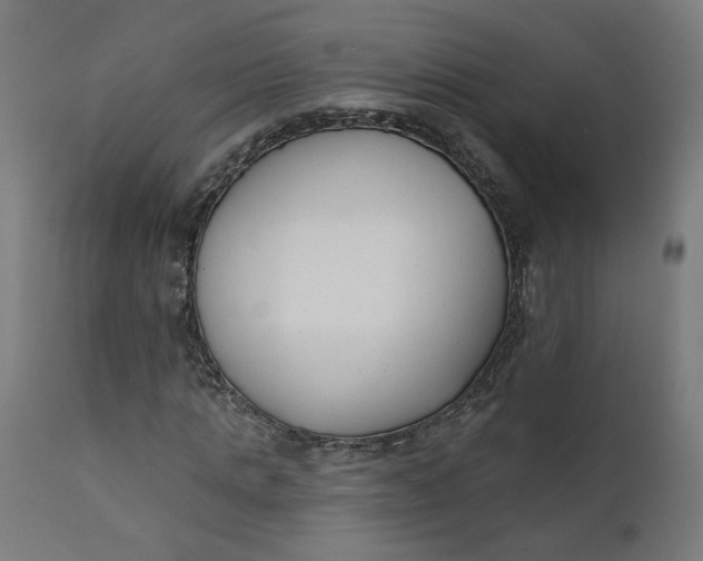 X0000111610821200907311137