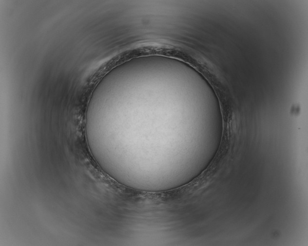 X0000111610822200907311137