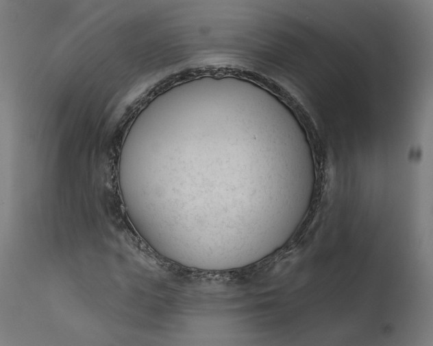 X0000111610823200907311137