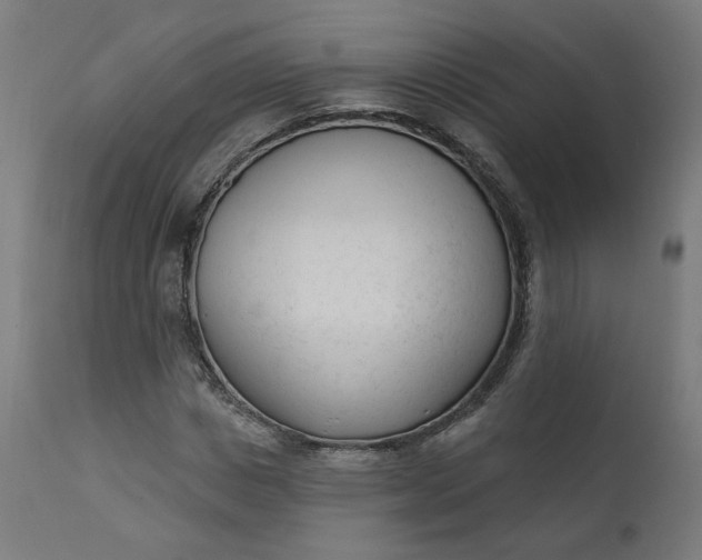 X0000111610825200907311137